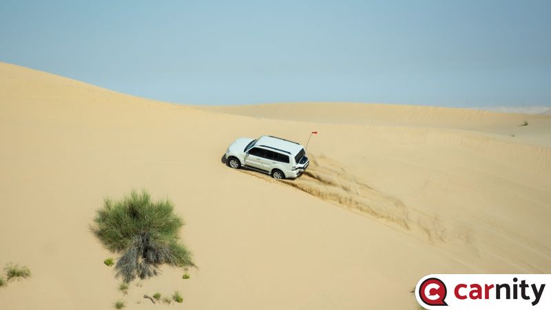 DSC_0051.jpg