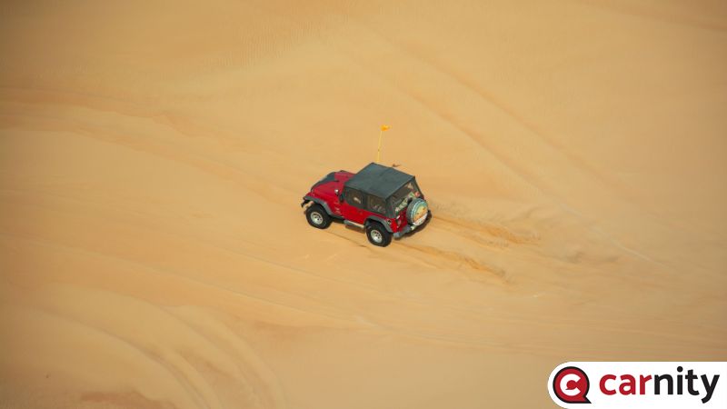 DSC_0335.jpg