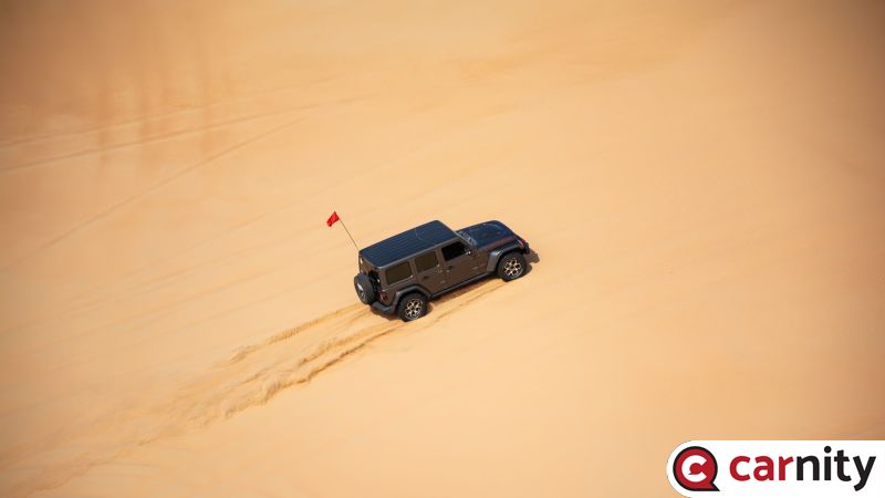 DSC_0337.jpg