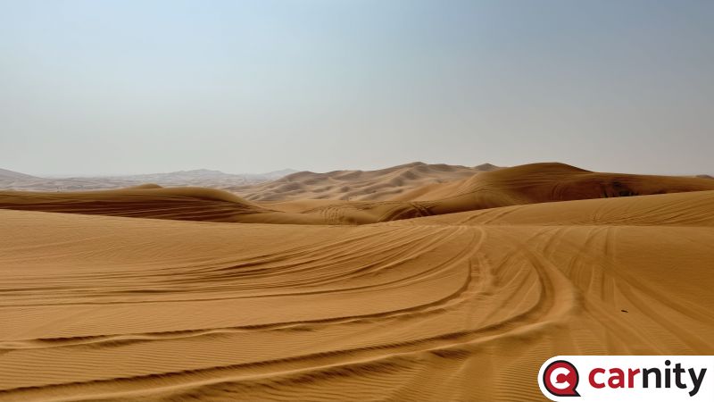 IMG_3347.jpeg