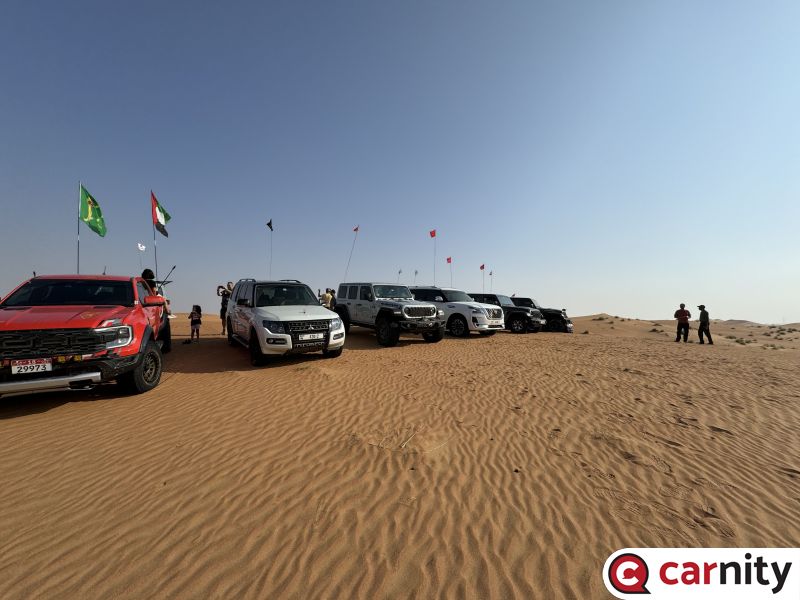 desert camels.jpg
