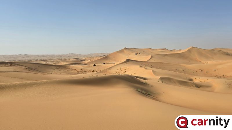 Desert ants