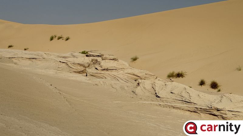 IMG_3683.jpeg
