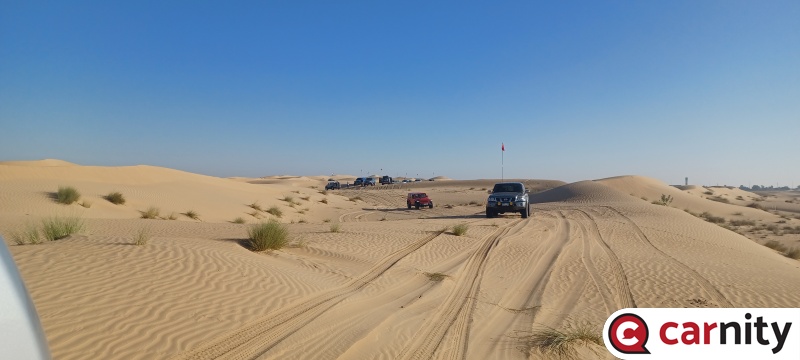 20241116_081053.jpg
