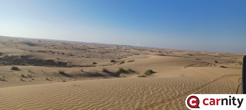 20241116_081105.jpg