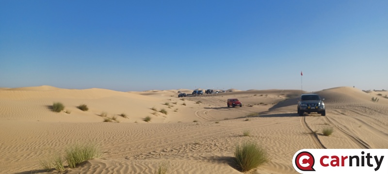 20241116_081117.jpg