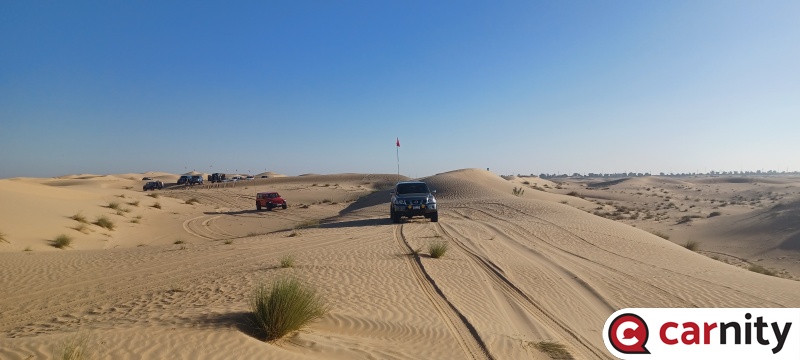 20241116_081120.jpg