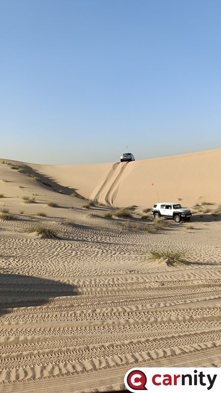 IMG20250125163555_01.jpg