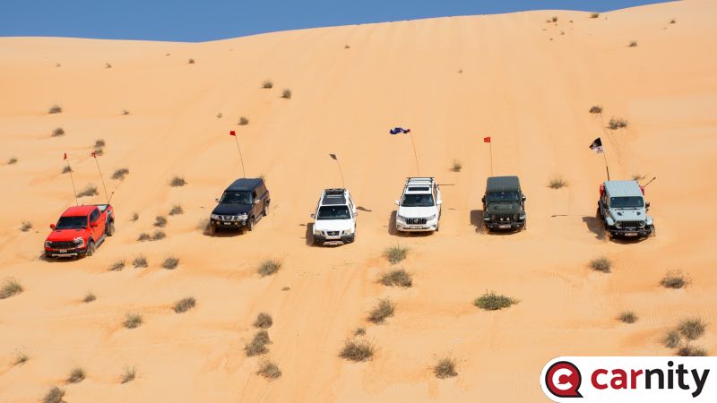 DSC_0900.jpg