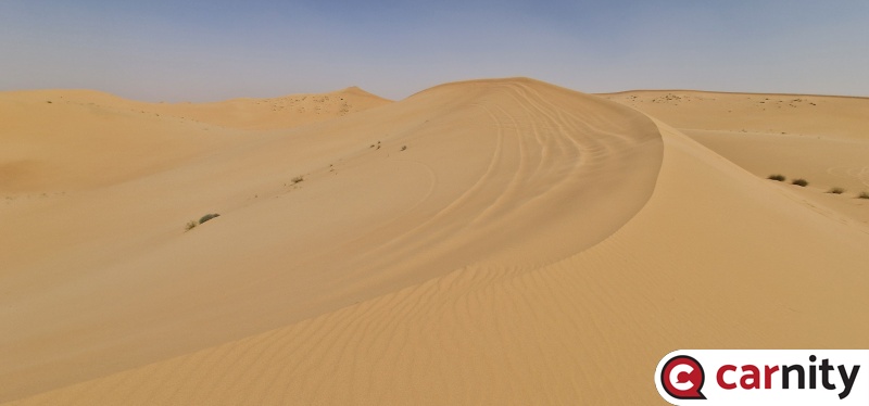 20250308_141830.jpg
