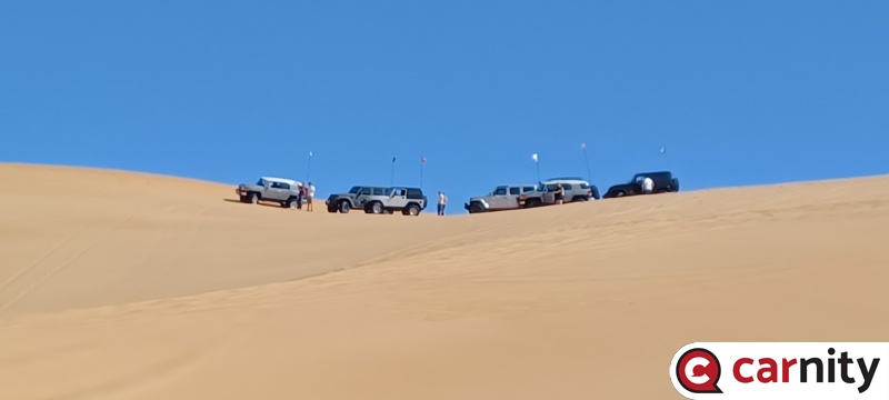 20250315_094313.jpg
