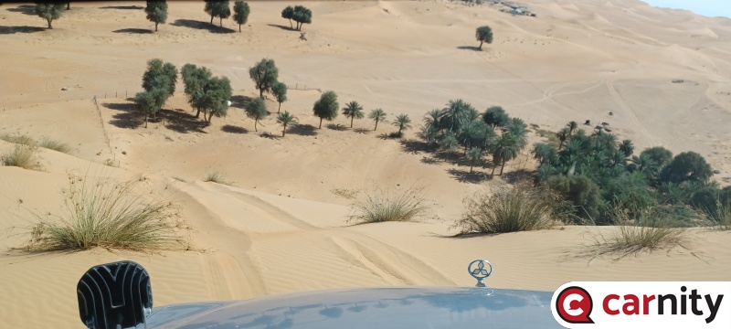 20250315_100543.jpg