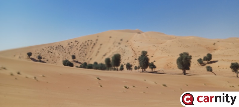 20250315_100817.jpg