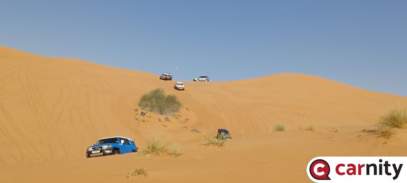 20250329_080306.jpg