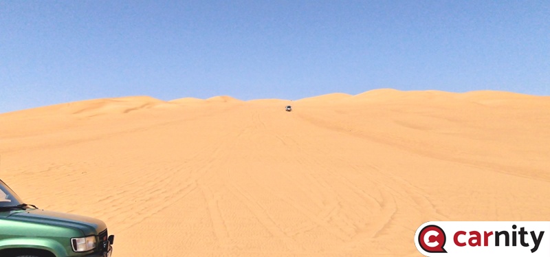 20250329_095215.jpg