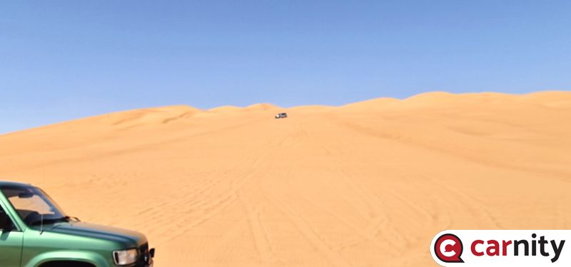 20250329_095224.jpg