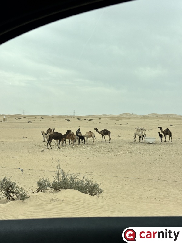 IMG_9144.jpeg