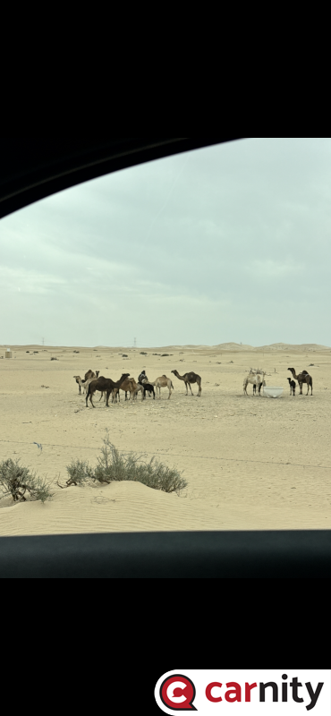 IMG_9185.png