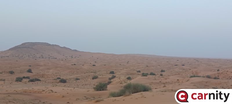 20250413_060331.jpg