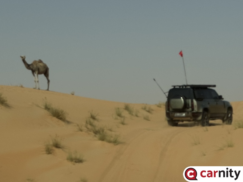 Fewbie - The Desert Books' Series: "Arabian Sands". To Tilal Resort - Abu Dhabi - 15 Jun 2025