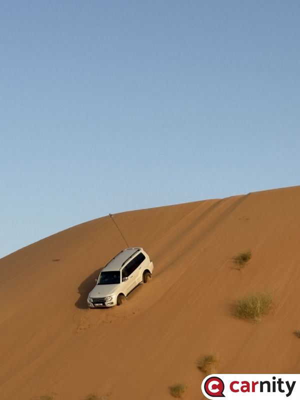IMG_2033.jpeg