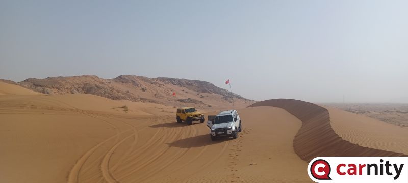 20250727_080413.jpg
