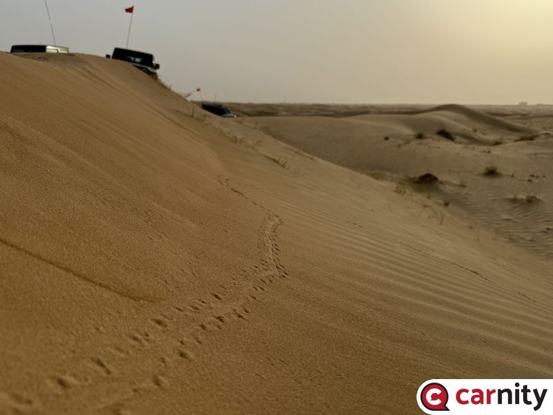 Fewbie - Lisaili to Qudra Secret Dunes - Dubai - 23 Aug 2025