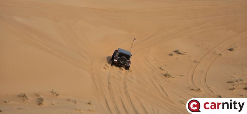 20250913_072102.jpg
