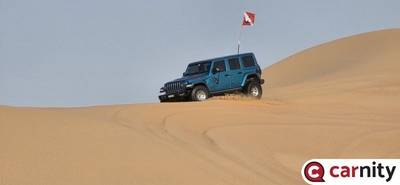 20250913_072514.jpg