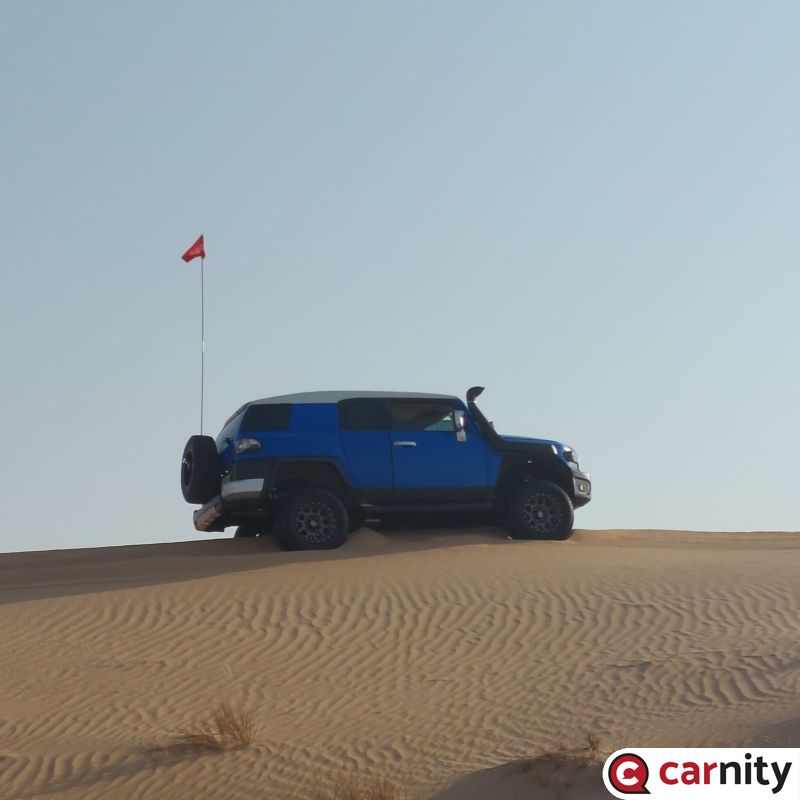 251017-Carnity-Lisali Qudra-01-Vinay.jpeg