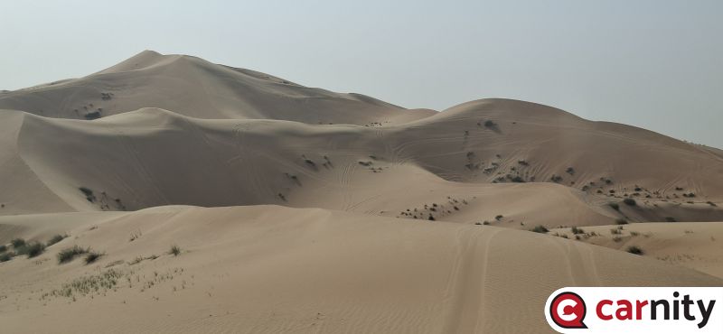 20260228_154252.jpg