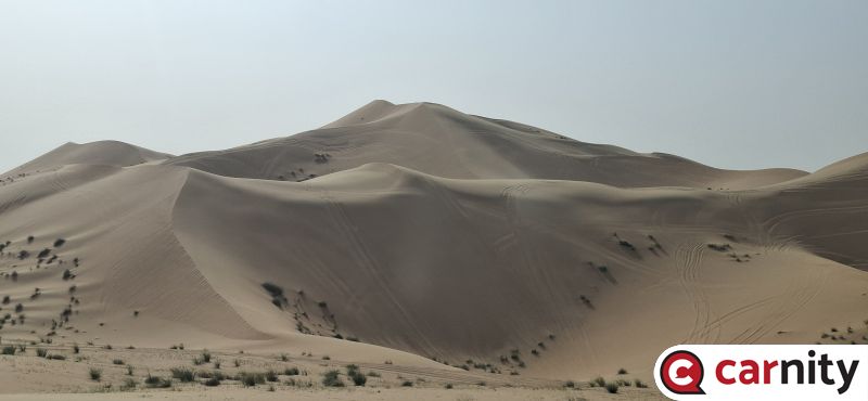 20260228_154305.jpg