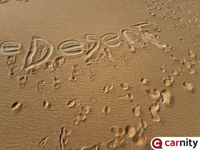 IMG_4038.jpeg