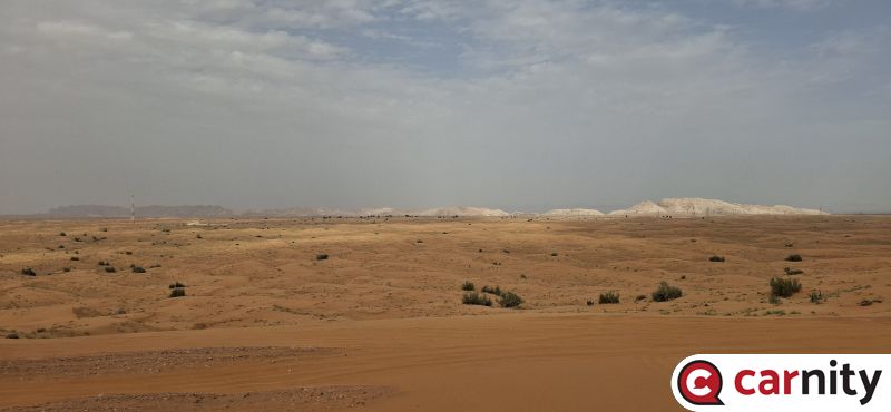 20260405_155919.jpg