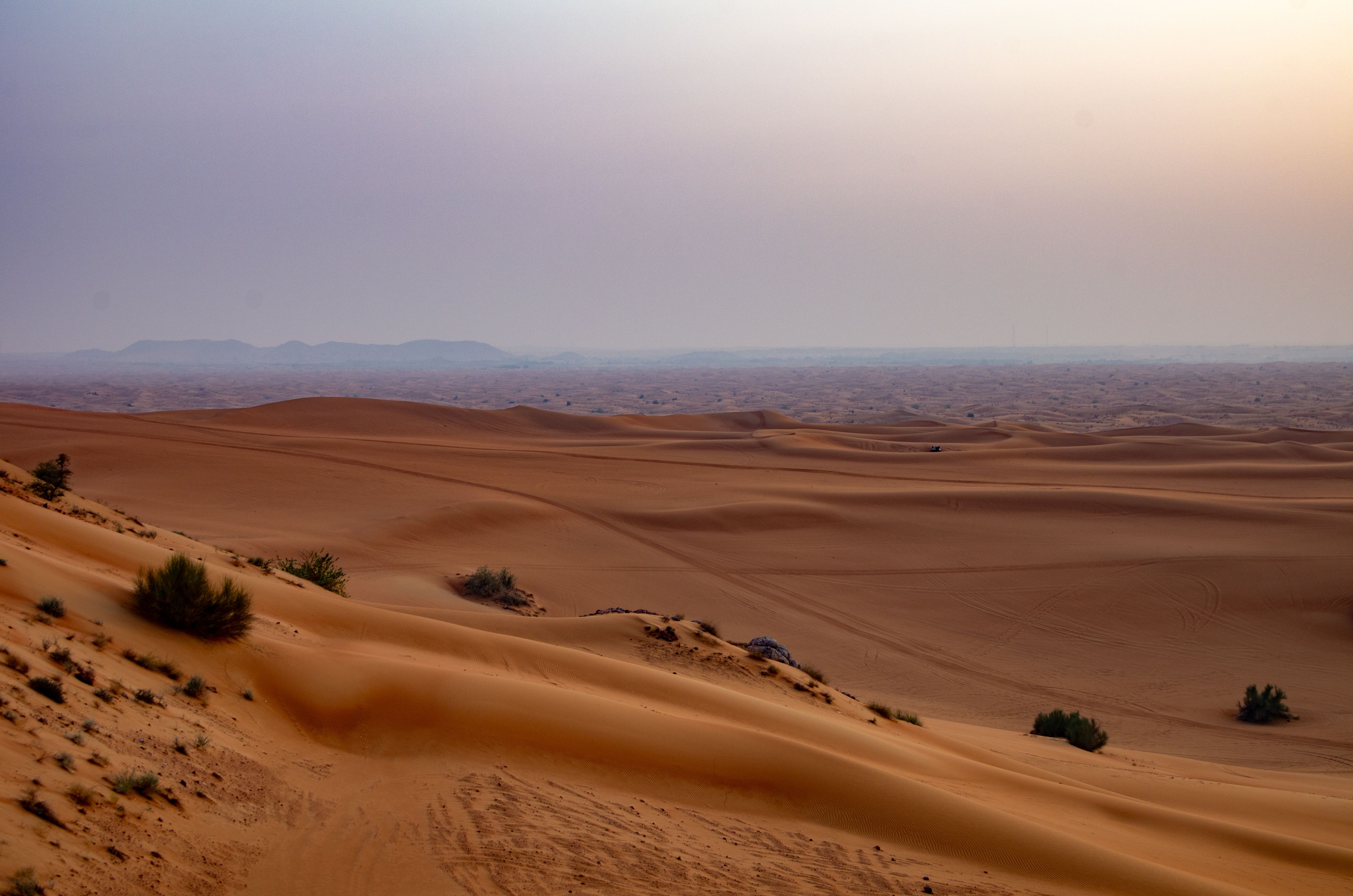 Morning Newbie Desert Drive - Pink Rock - Sharjah- 10 May 2026