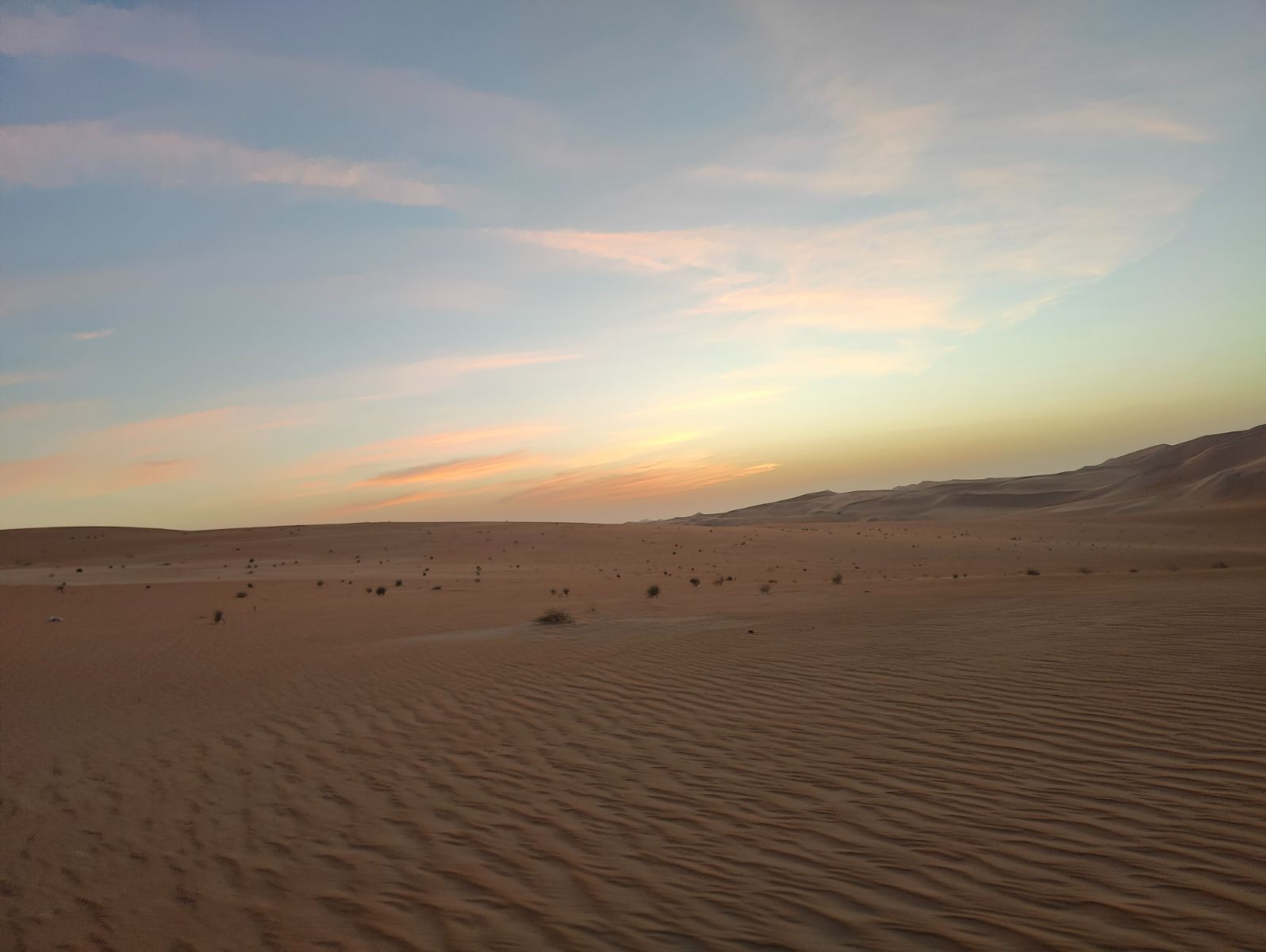 Morning Newbie Desert Drive - Fayah's Pristine White Dunes - Abu-Dhabi - 31 May 2026