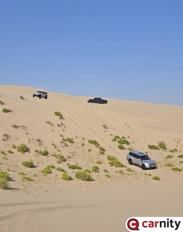 Al Faya.jpeg