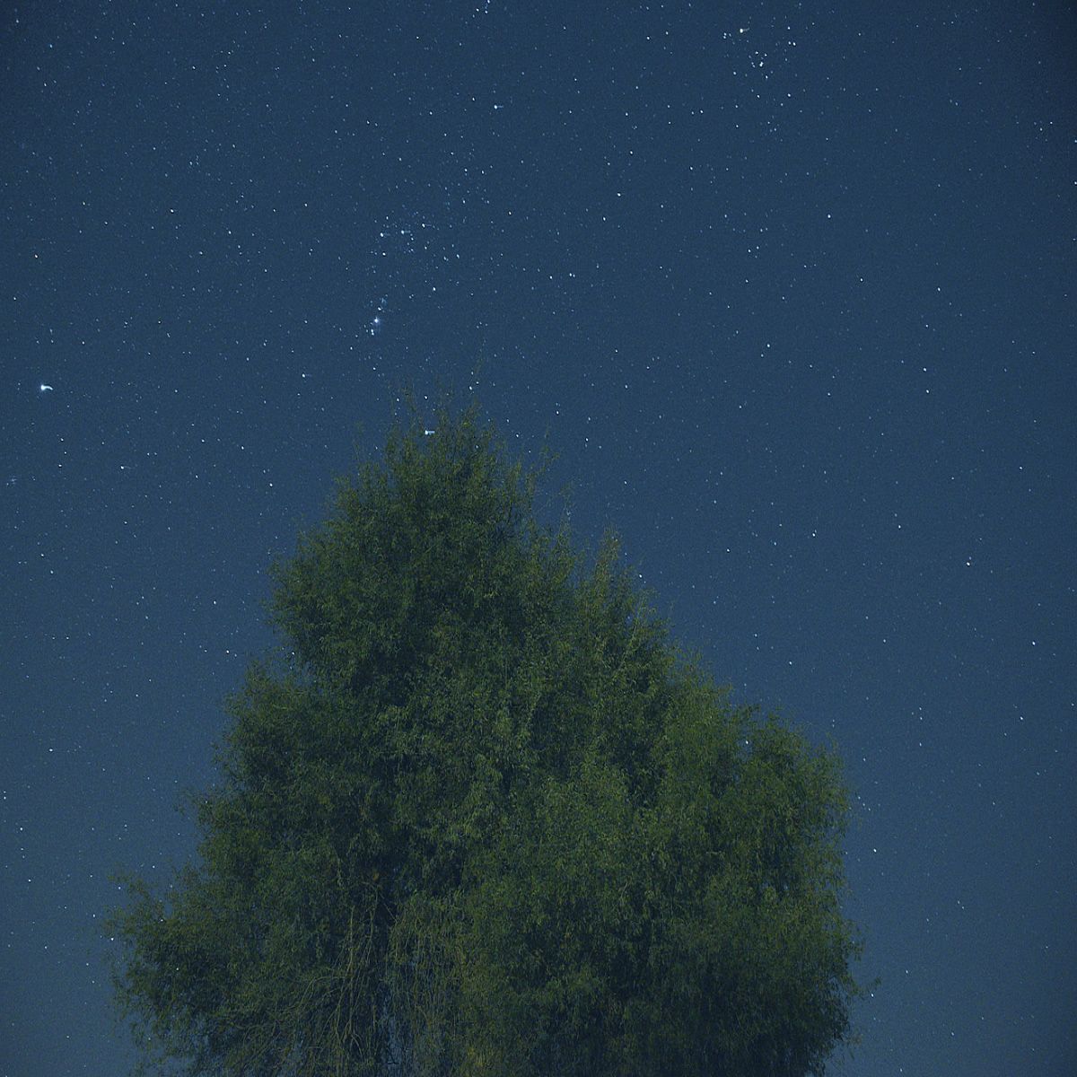 Star Photography Night 12 Feb 2021