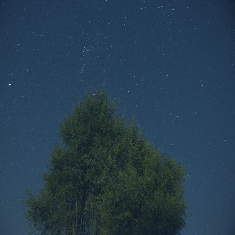 1517462581_AstroPhotography.jpg.15a2753a4f97d4038d59294865cb8d81.jpg
