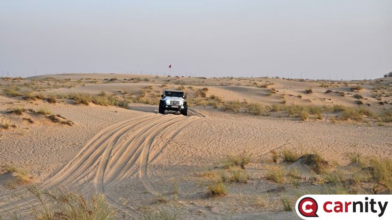Al Qudra 5.jpeg