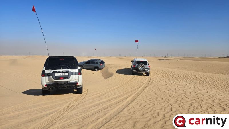 Al Qudra 6.jpeg