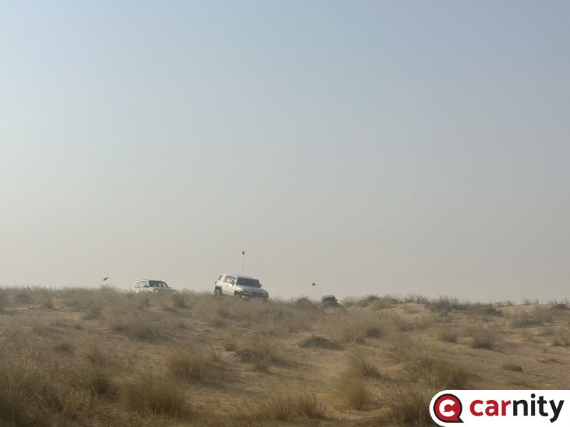 Newbie - Sunny Side Up - Murquab to Al Qudra - Dubai - 11 July 2026